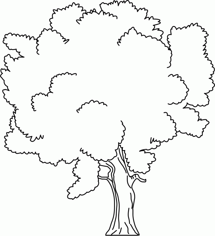 Son Of A Fertile Tree Coloring For Kids - Tree Coloring Pages