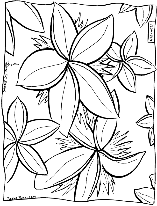 Junker Toons Hawaii - Free Coloring Pages