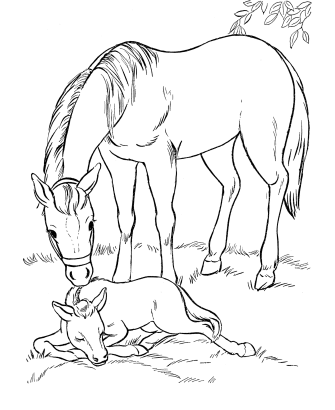 Horse Coloring Page Of Mare And New Foal | Cartoon Coloring Pages