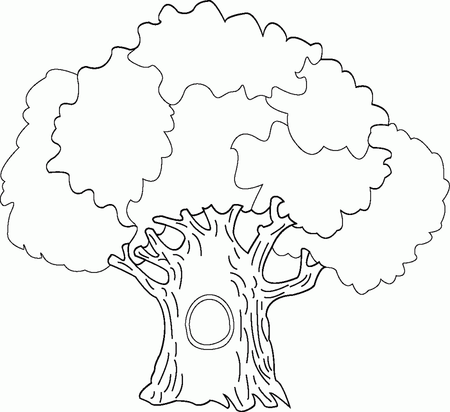 Big-Tree-Coloring-Page