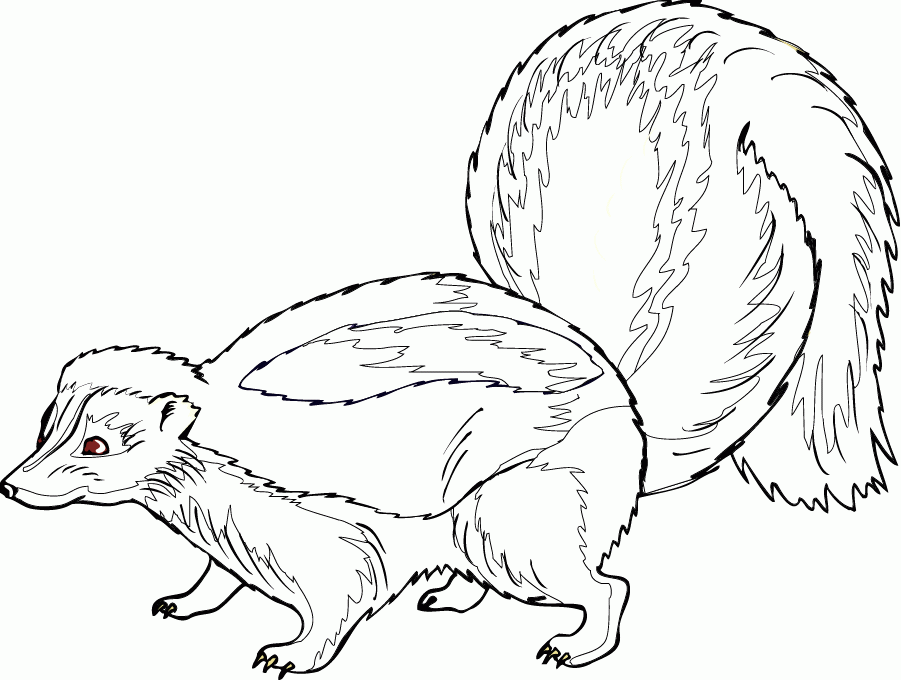 Skunk Coloring Pages - Free Coloring Pages For KidsFree Coloring