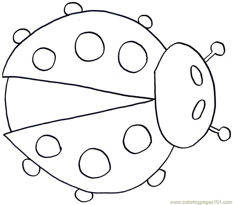 Coloring Pages ladybug (Insects > ladybugs) - free printable