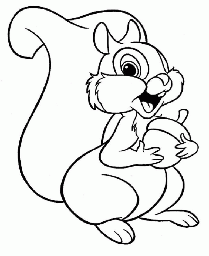 Print And Coloring Pages Squirrel | Coloring Pages