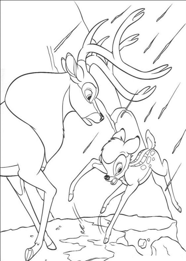 Educational Bambi Coloring Page Hd Wallpapers | Laptopezine.
