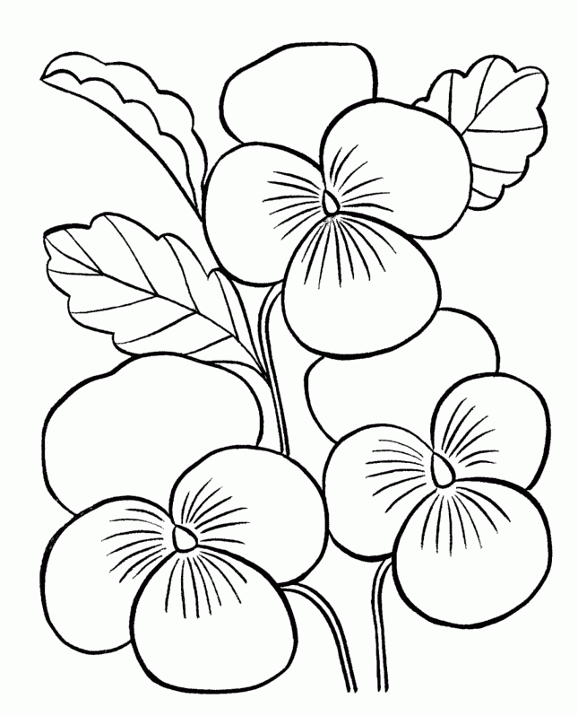Printable Plicated Coloring Pages For Adults Spring Coloring ...