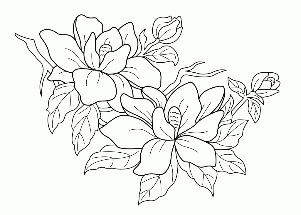 Free Printable Free Flower Coloring Pages - Coloring pages