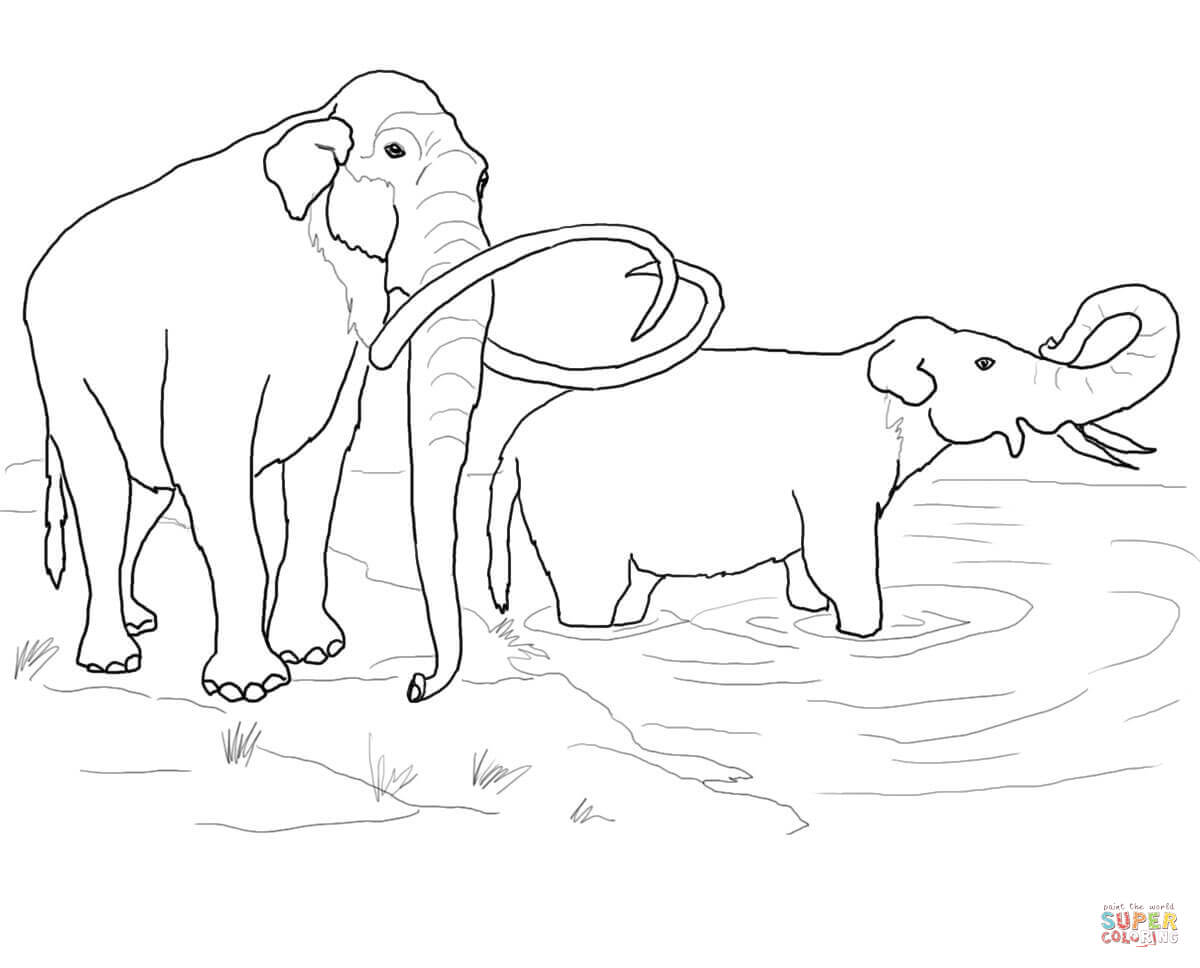 Columbian Mammoth coloring page | Free Printable Coloring Pages