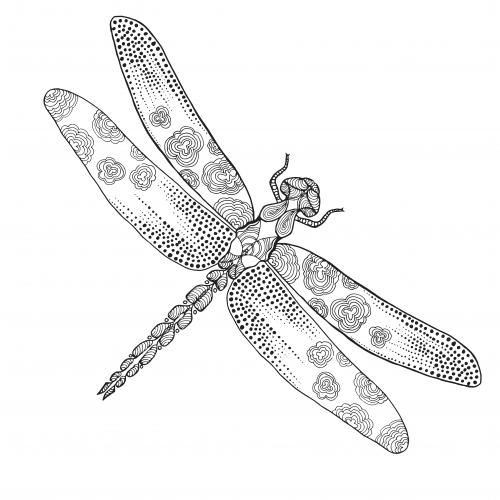 Free Dragonfly Adult Coloring Page - KidsPressMagazine.com