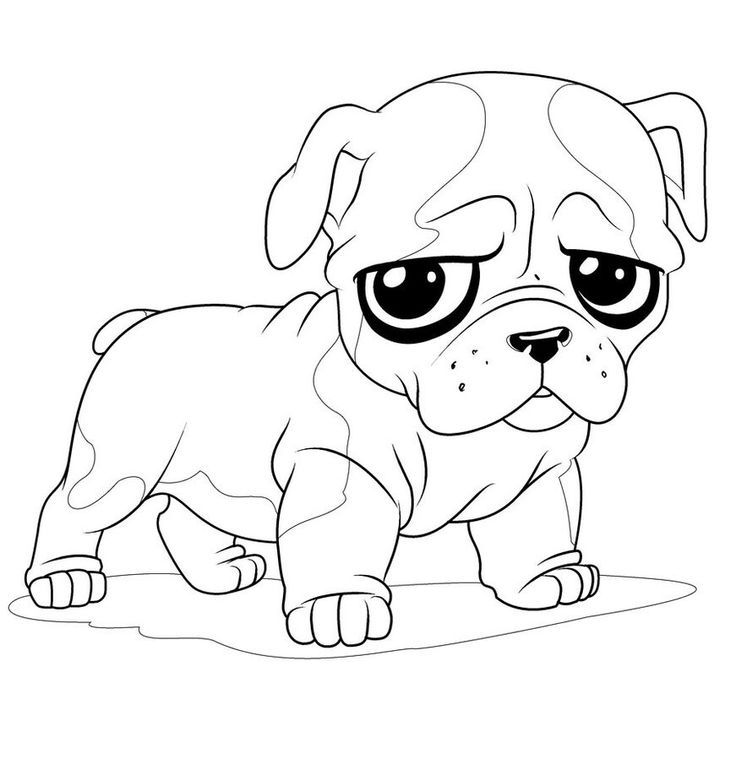 Pug Coloring Pages for