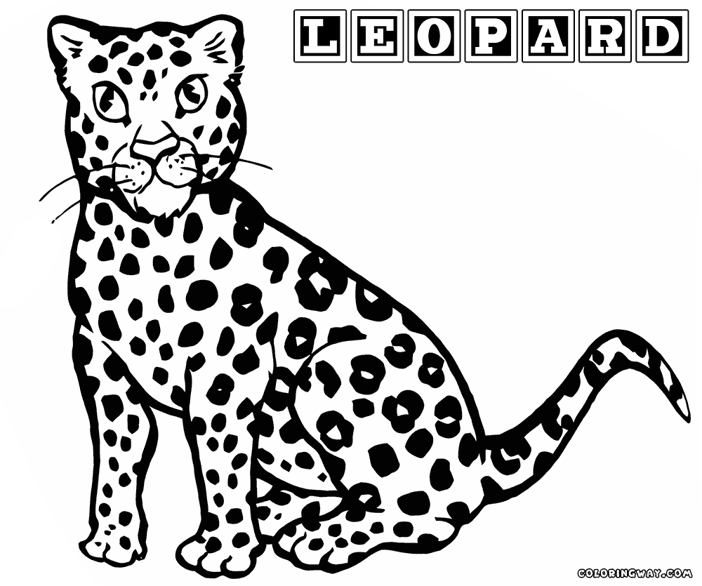 Leopard coloring pages | Coloring pages to download and print