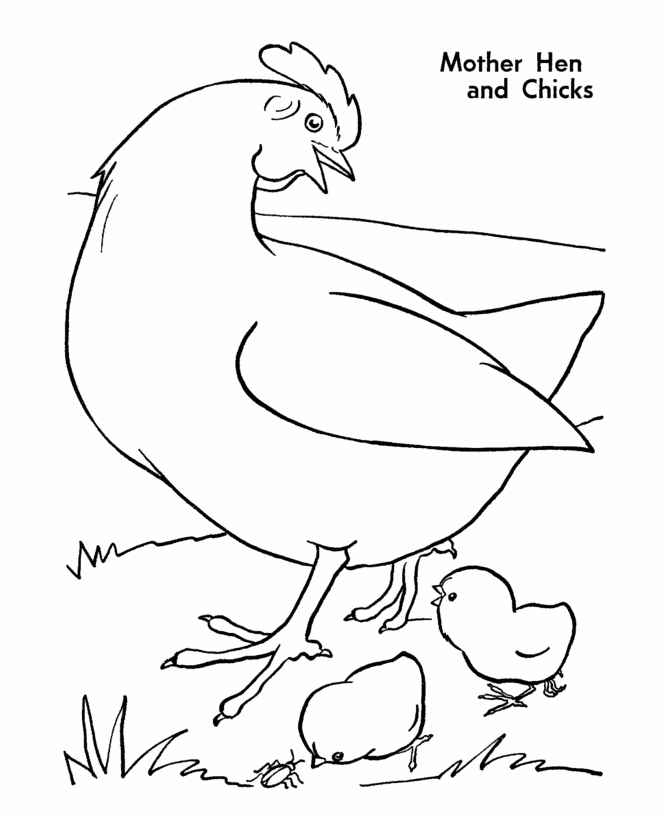 Farm Animal Coloring Pages | Chickens Mother hen Coloring Page and ...
