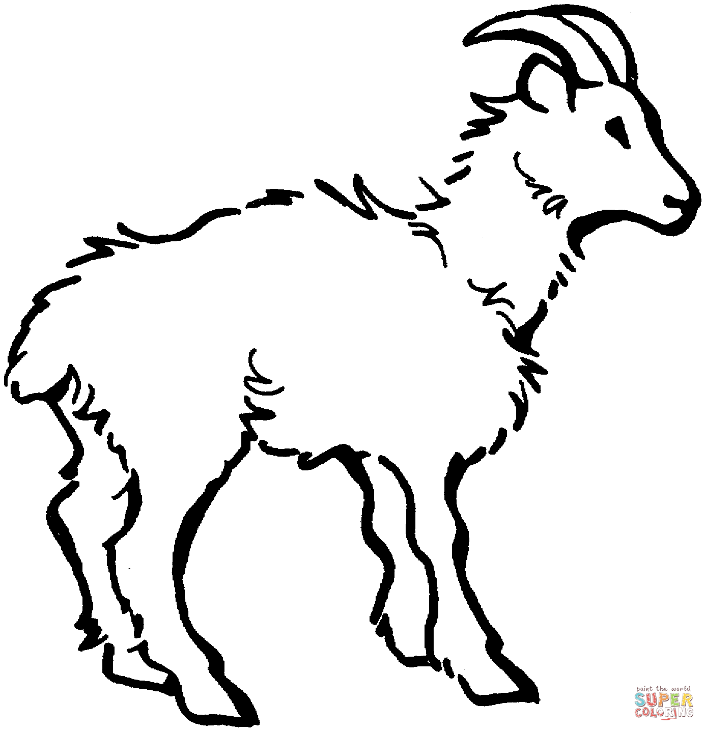 Domestic Goat 1 coloring page | Free Printable Coloring Pages
