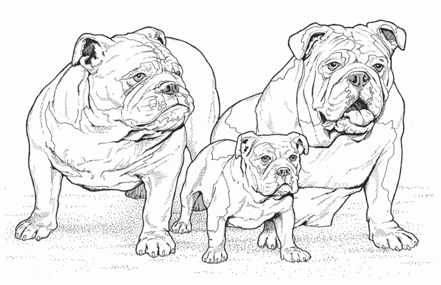 Free Download: Coloring Pages from Popular Adult Coloring Books