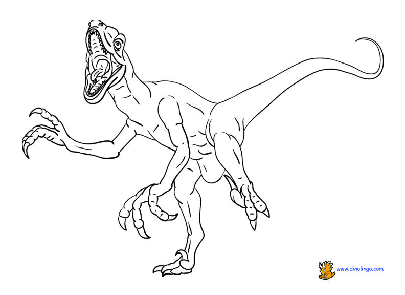 Dinosaur coloring pages | Dino Lingo Blog