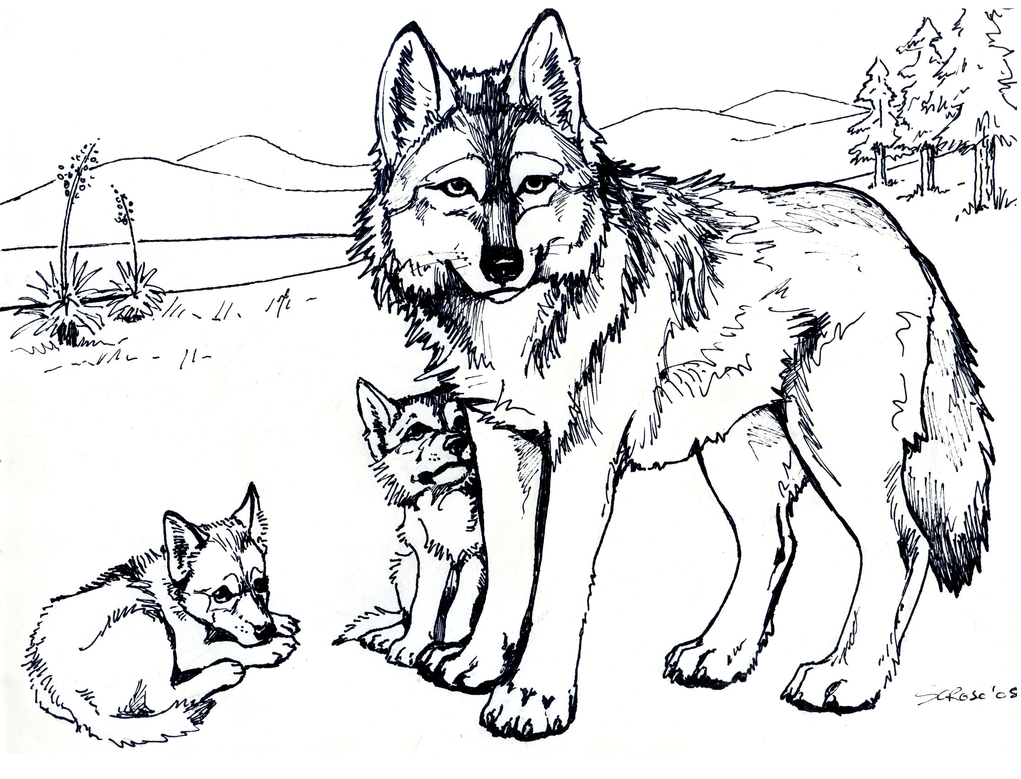 wolf coloring pages for kids | Wolf Coloring Pages | print outs ...