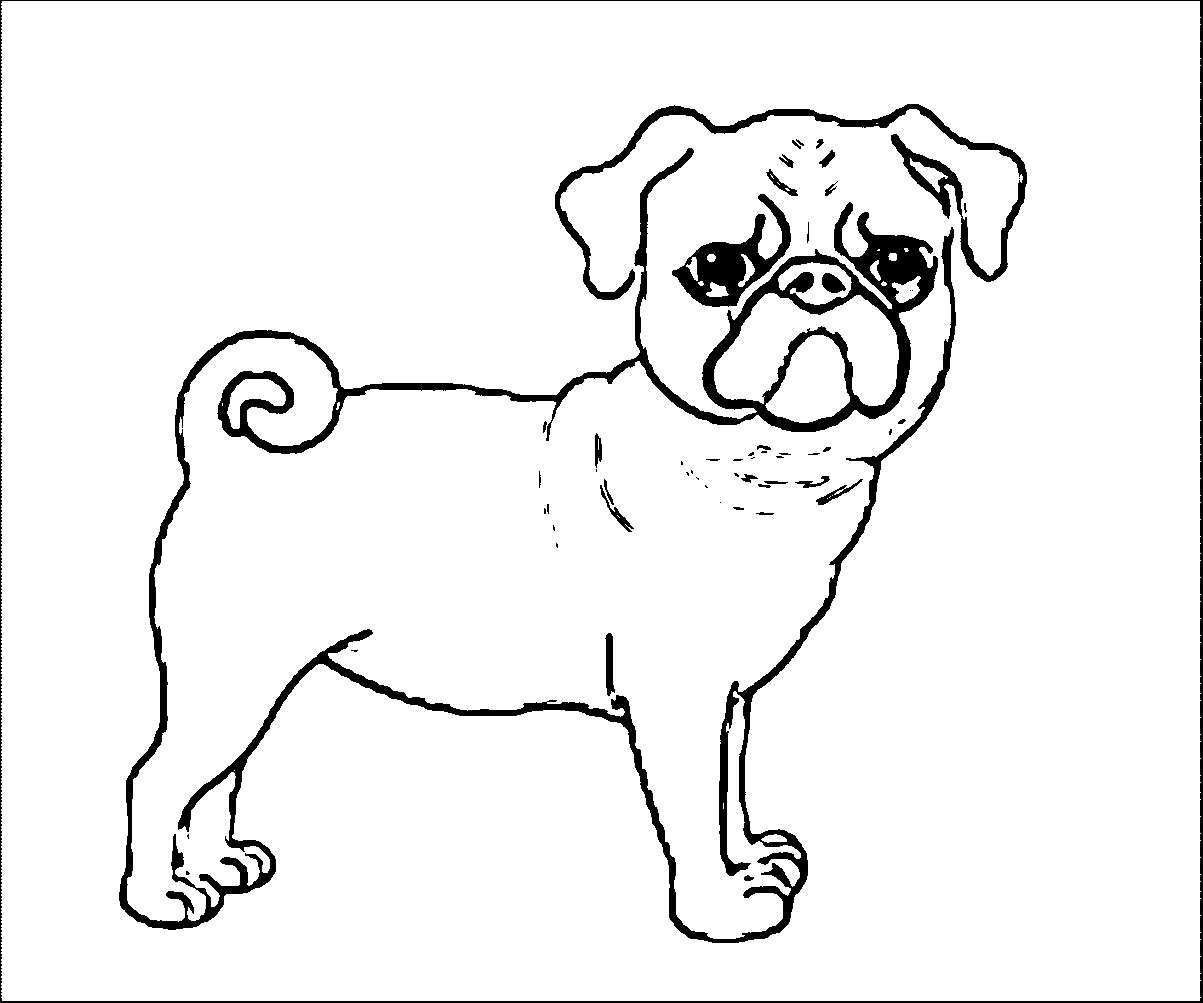 Pug Dog Curly Tail Dog Puppy Coloring Page | 