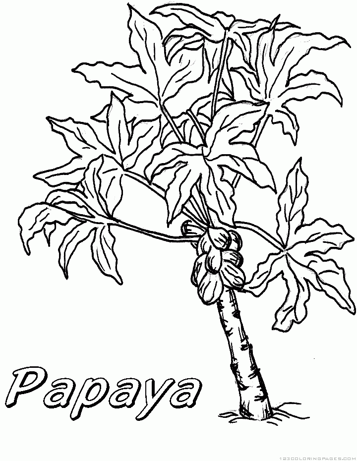 Papaya Tree Coloring Pages