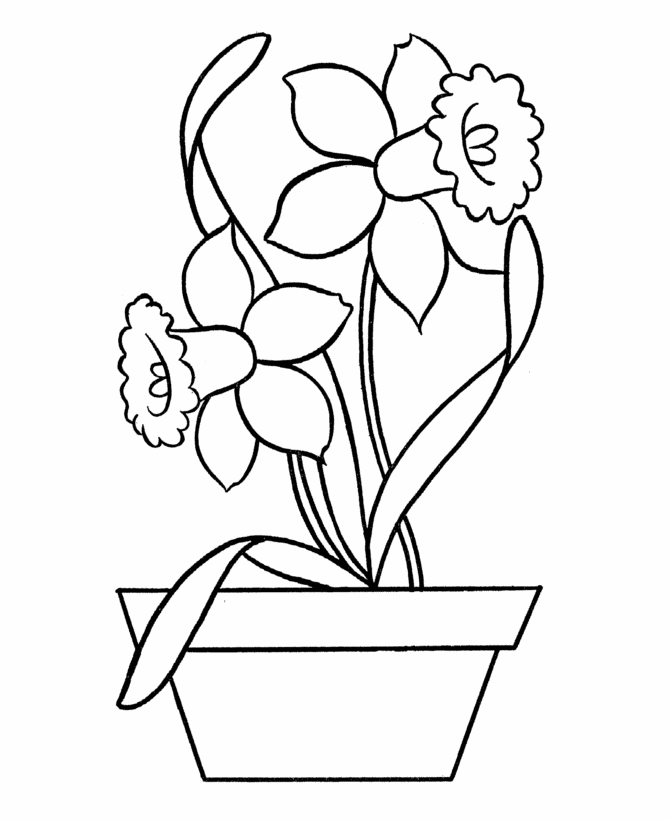 Easy Coloring Pages | Free Printable Daffodils in Pot Easy ...
