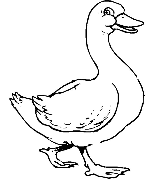 Goose #11643 (Animals) – Printable coloring pages