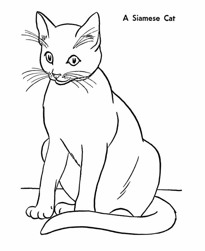 Cat Coloring page | Siamese Cat | Embroidery Patterns | Pinterest ...