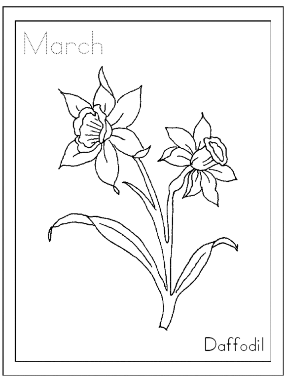 March Daffodil Flower Coloring Page | Flower Coloring pages of ...