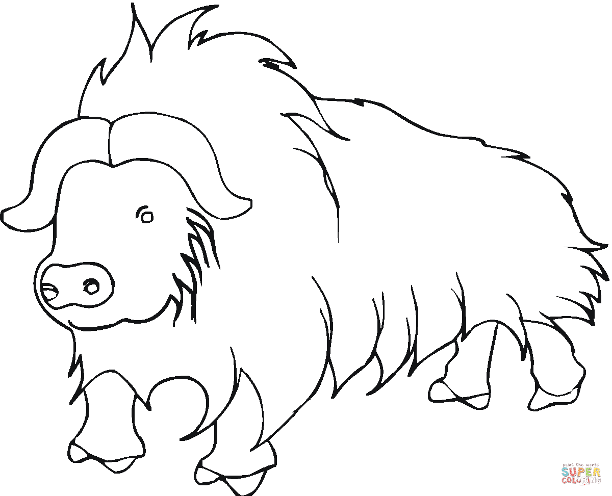 Yak coloring pages | Free Coloring Pages