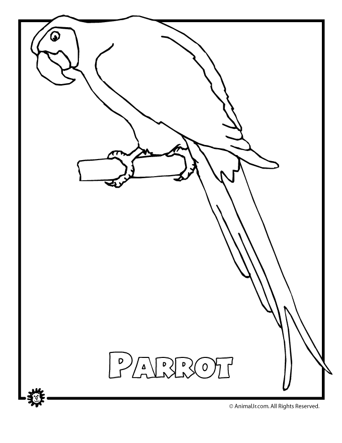 9 Most Endangered Rainforest Animals Coloring Pages | Animal Jr.