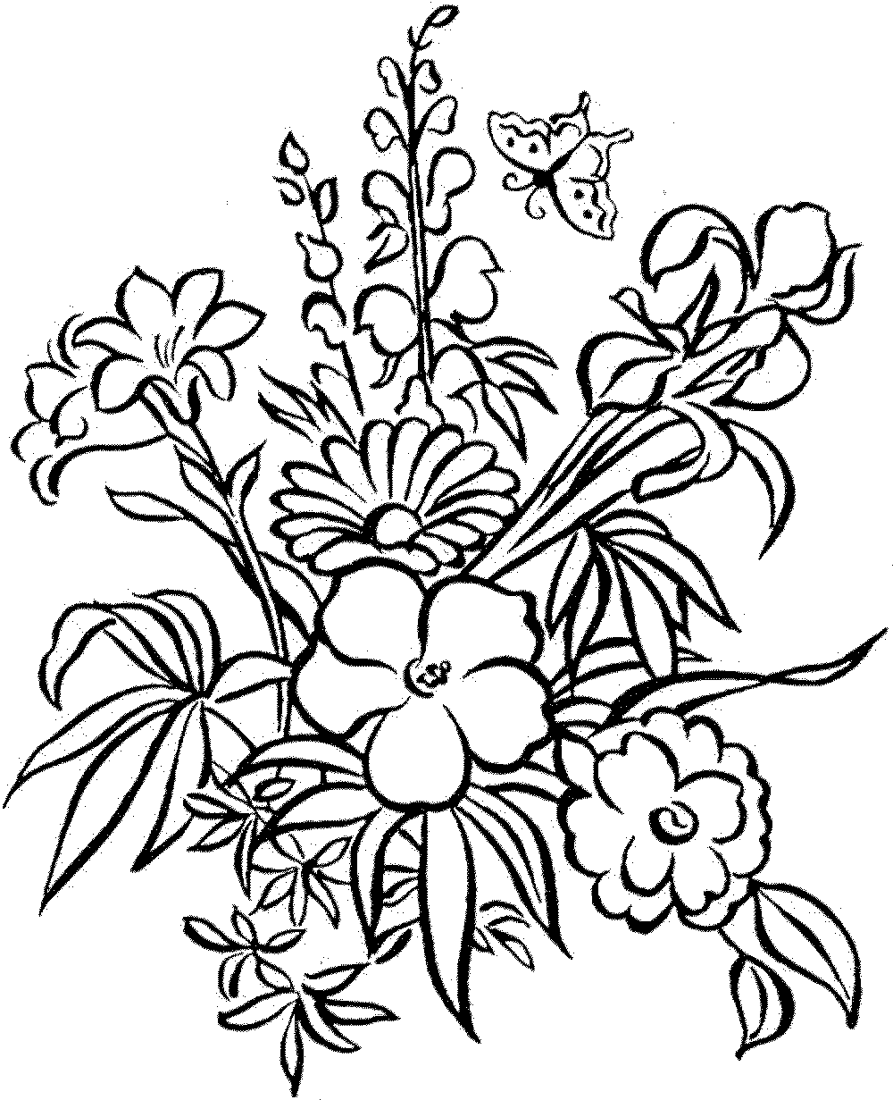 Coloring Pages: Flowers Coloring Pages Butterfly And Flower ...