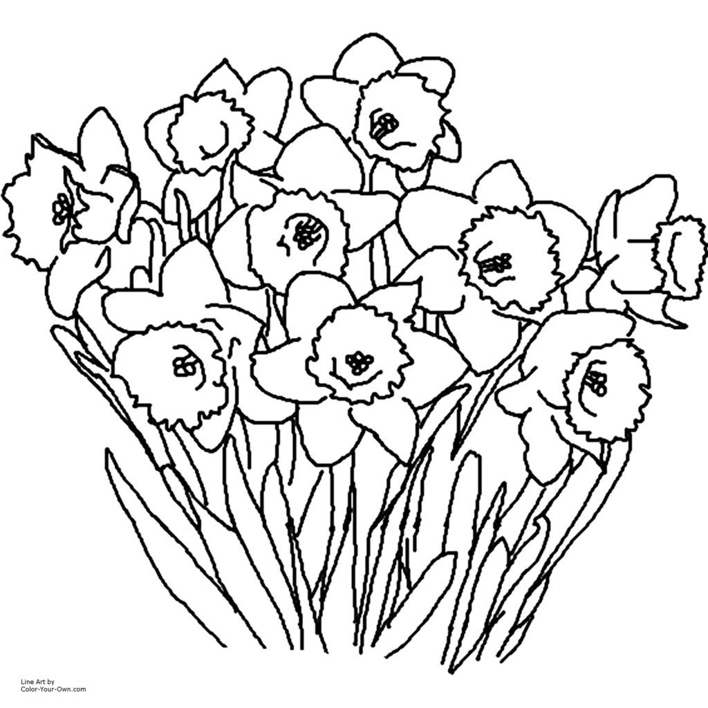 New Coloring Page: Click Here For The Free Printable Coloring Page ...