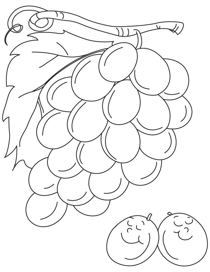 Grapes are not always sour coloring pages | Download Free Grapes