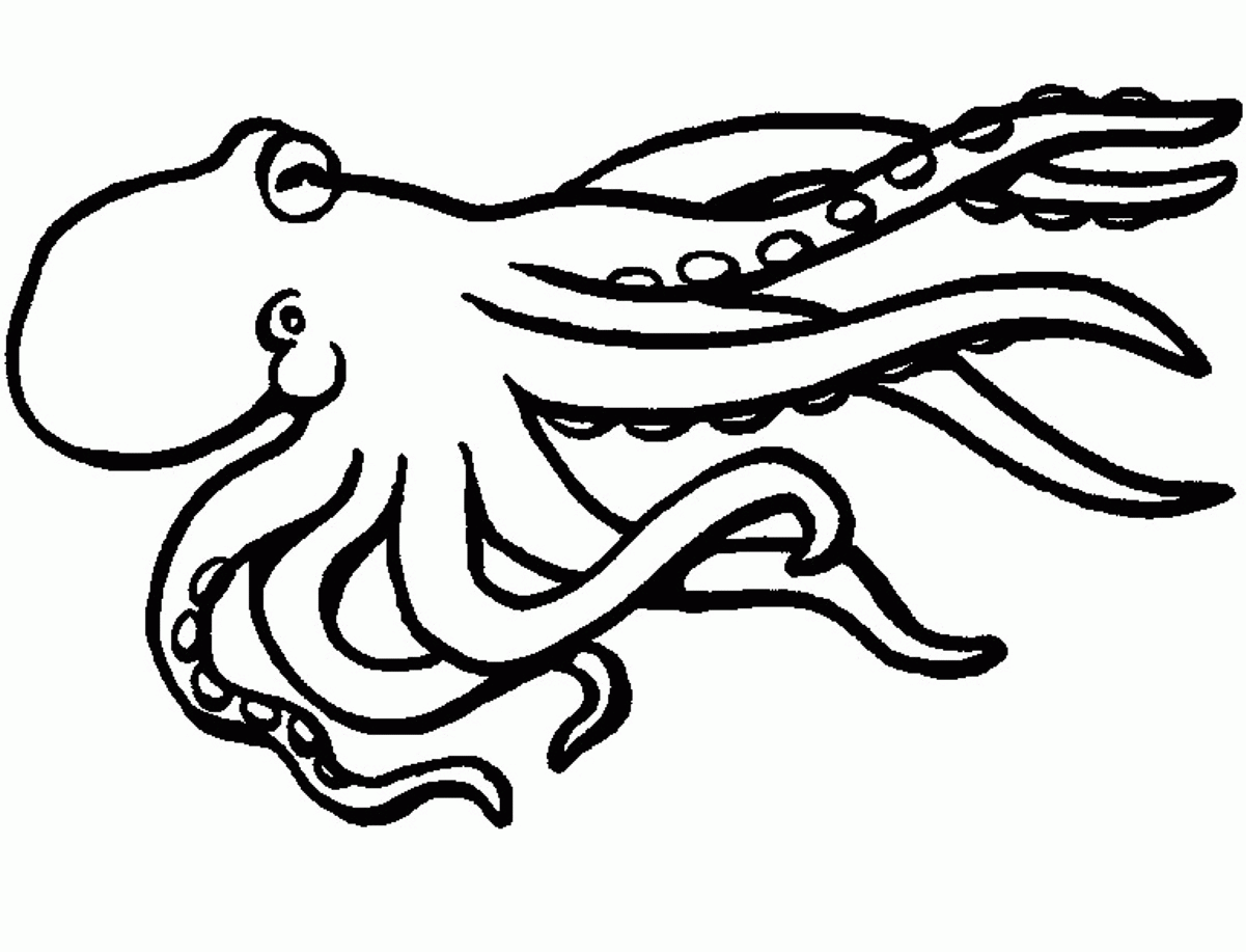 11 Pics of Spotted Octopus Coloring Pages - Spotted Octopus ...