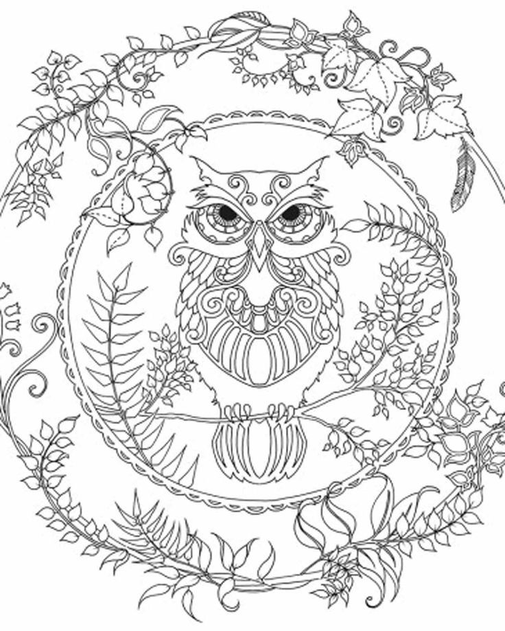 Enchanted Forest Owl Free Printable Coloring Pages - VoteForVerde.com