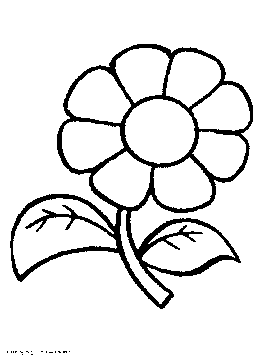 Kindergarten coloring pages. Nature