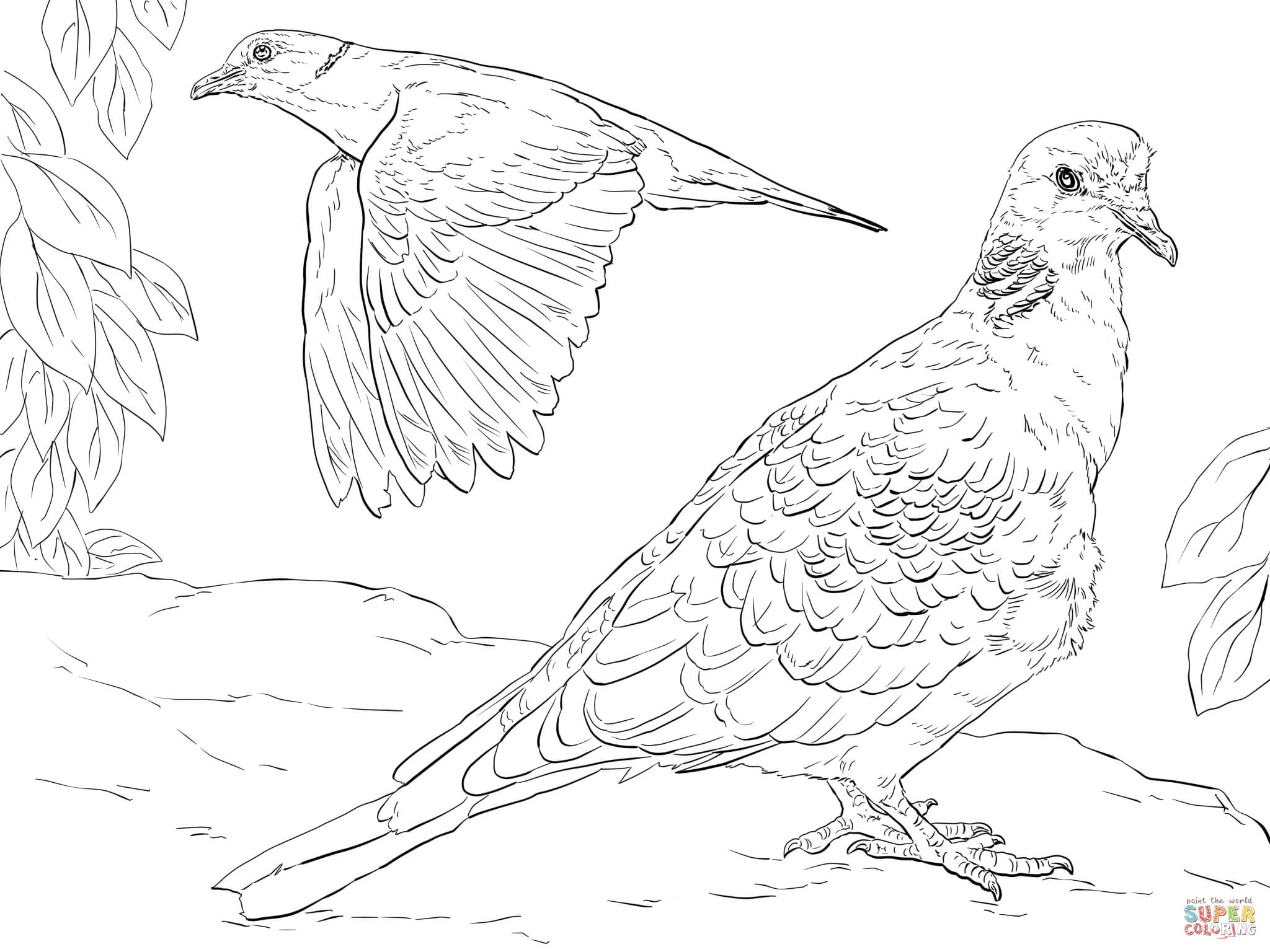 Turtle Doves coloring page | Free Printable Coloring Pages