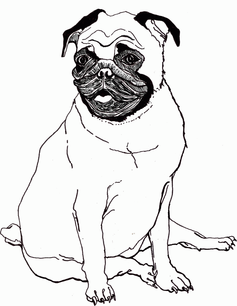 Best Photos of Pug Coloring Pages - Pug Printable Coloring Pages ...
