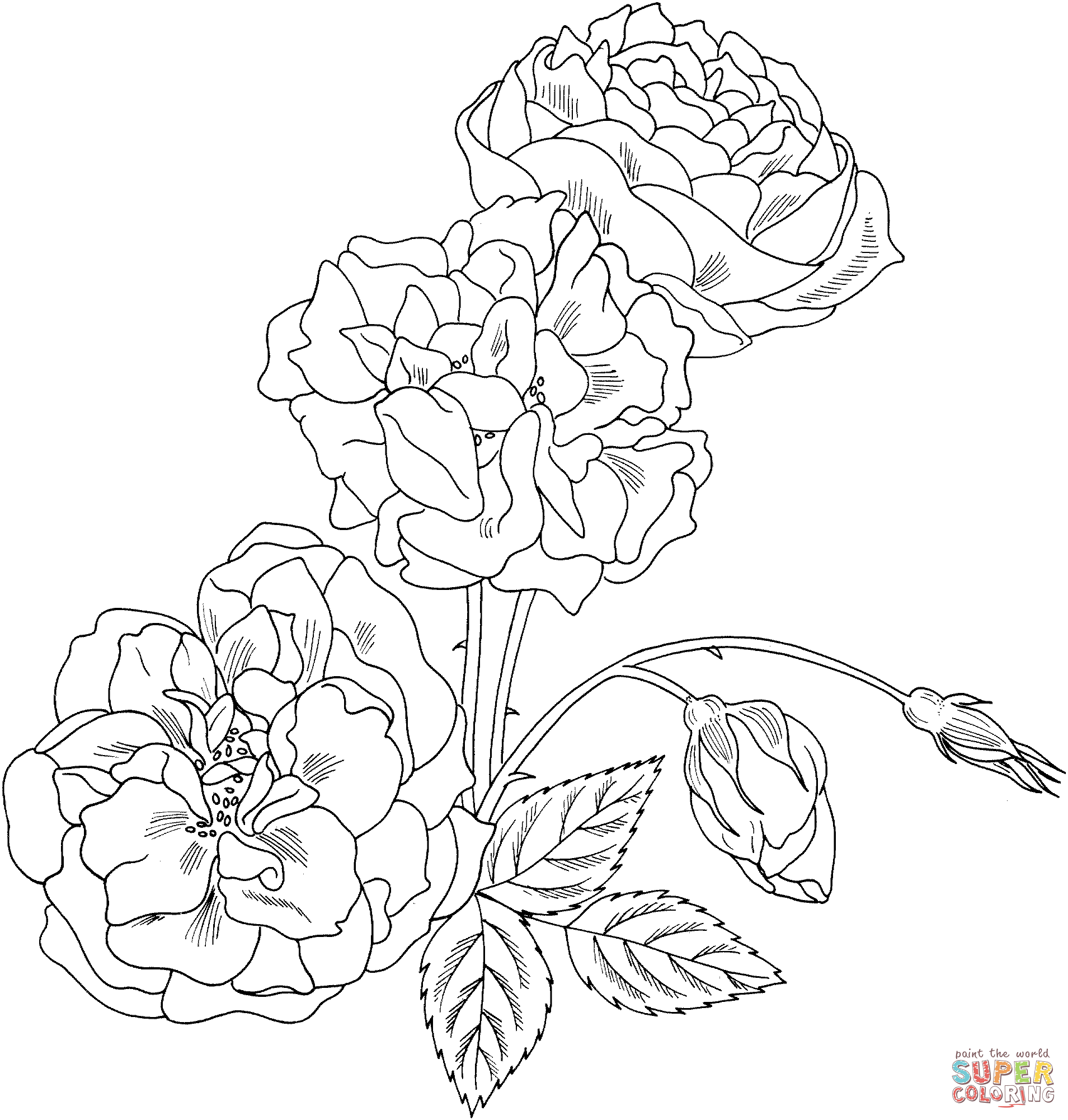 Coloring Pictures Of Roses And Hearts Coloring Pages Roses ...