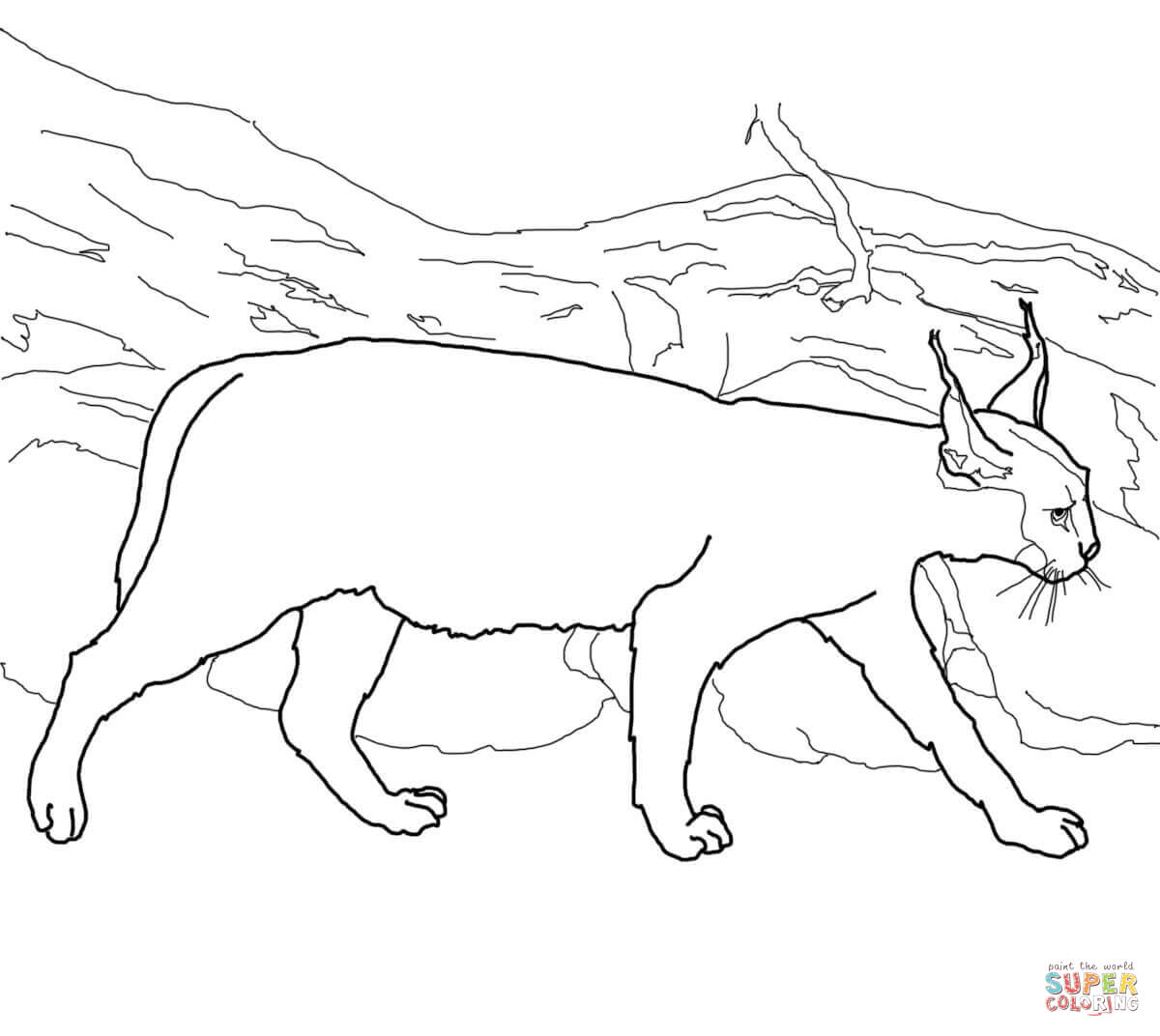 Caracals coloring pages | Free Coloring Pages