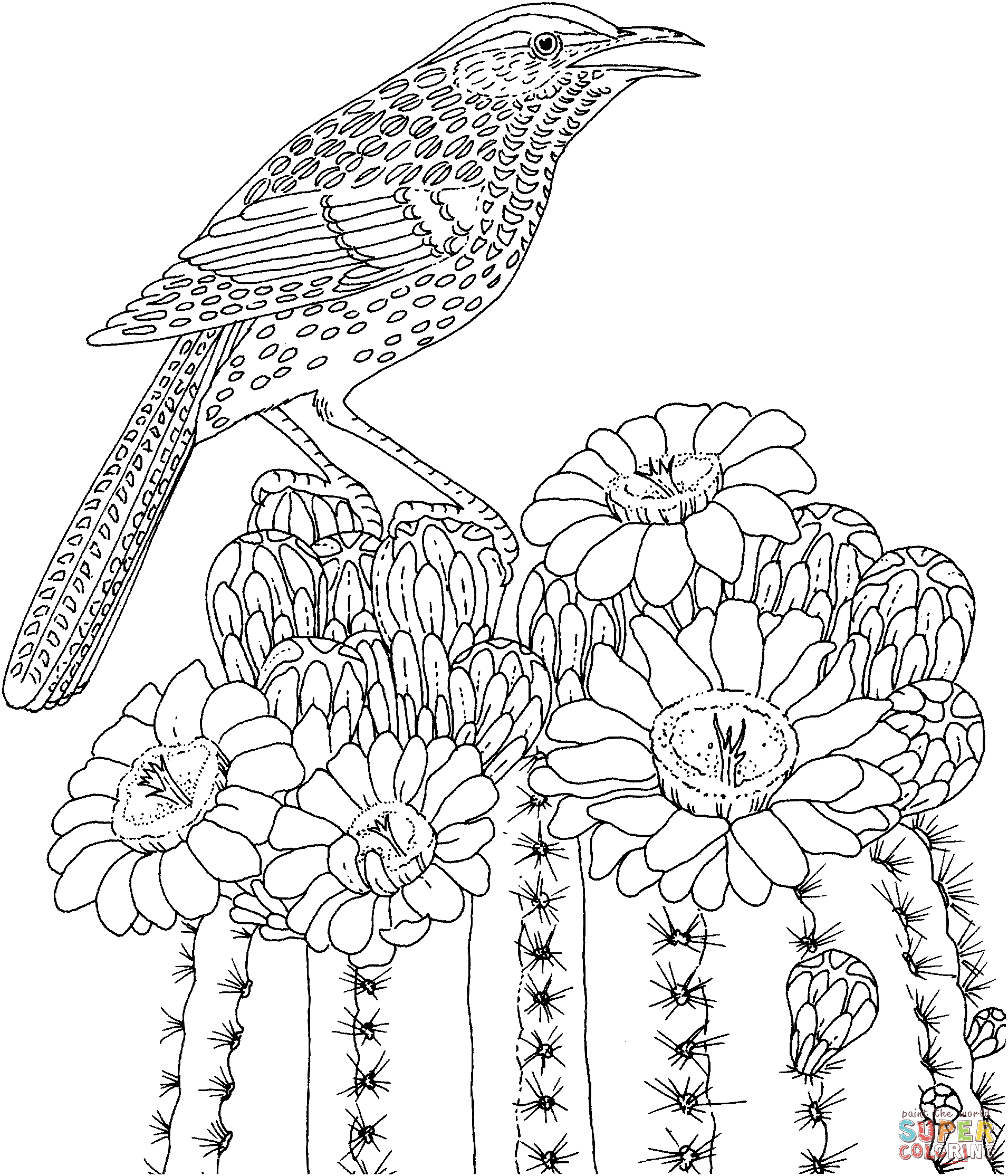 Saguaro Cactus Blossoms coloring page | Free Printable Coloring Pages