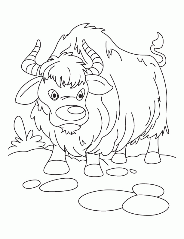 Growling yak coloring pages | Download Free Growling yak coloring
