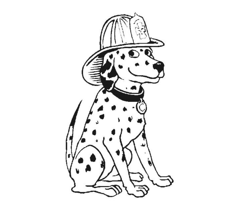Dalmation Coloring Pages : Dalmatian Fire Dog Coloring Pages