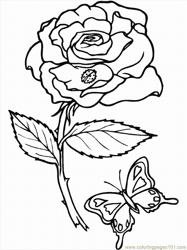Coloring Pages Flowers 7 (3) (Natural World > Flowers) - free