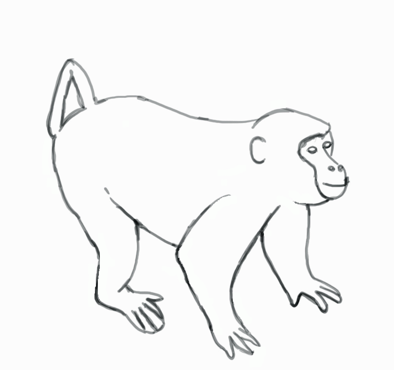 How To Draw a Monkey - Step-