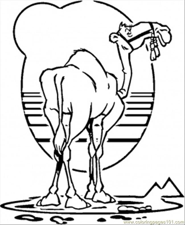 Coloring Pages Camel (Countries > Egypt) - free printable coloring