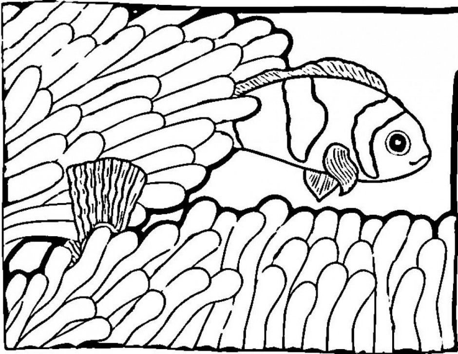Fishing Coloring Pages Rainbow Fish Coloring Pages Printable