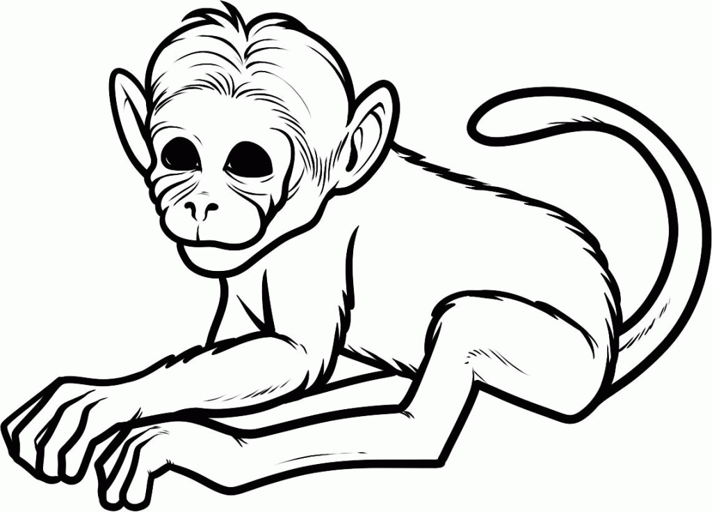 Baby Monkey Coloring Pages - Free Coloring Pages For KidsFree