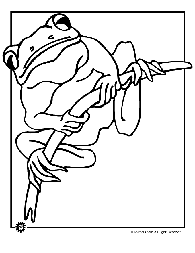 Tree Frog Coloring Pages Tattoo