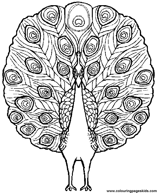 Free printable Printable coloring pages of birds - Peacock 01 for
