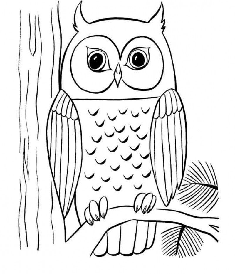 Cute Owl Is Silent On The Tree Coloring Page - Kids Colouring Pages