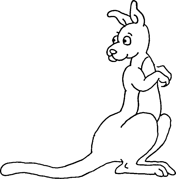 Kangaroo Drawing
