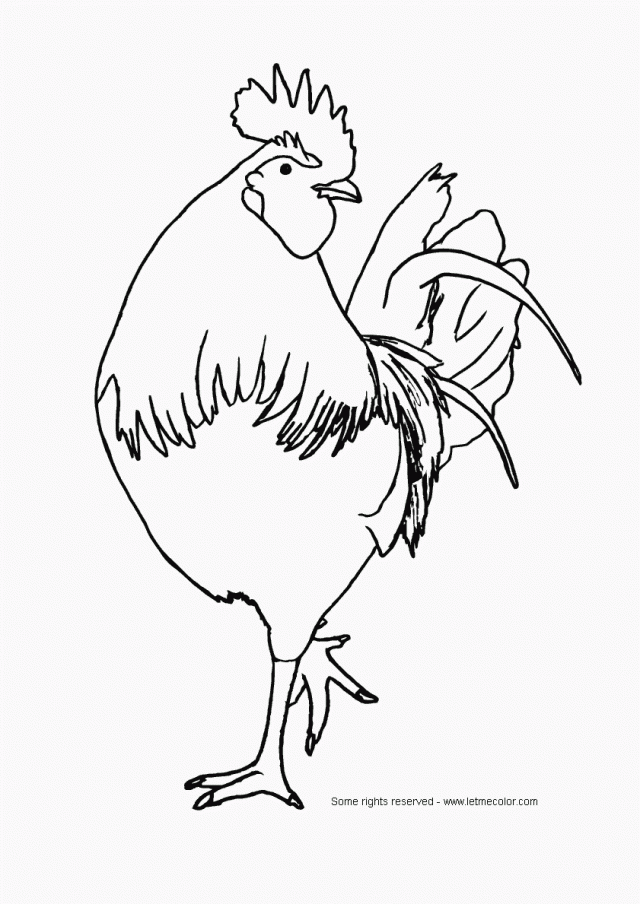 Coloring Chicken LetMeColor 157115 Chicken Coloring Pages